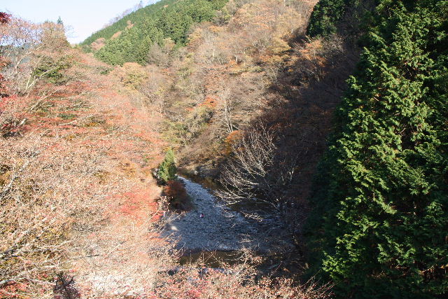 e0064133_17383416.jpg