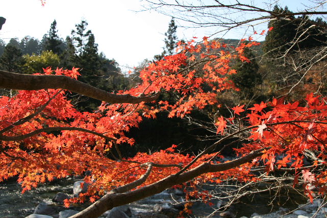 e0064133_17402963.jpg
