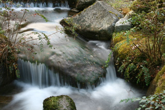e0064133_20285778.jpg
