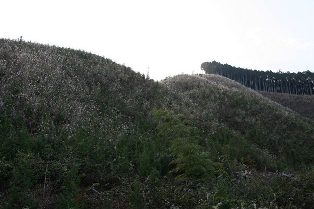 e0064133_20332627.jpg