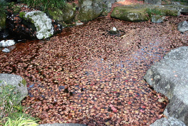 e0064133_2071274.jpg