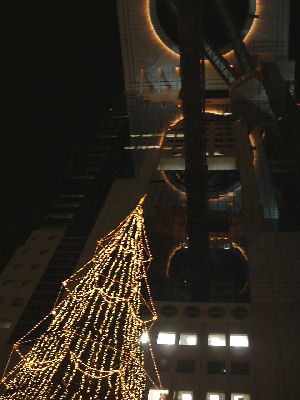c0069036_2273129.jpg