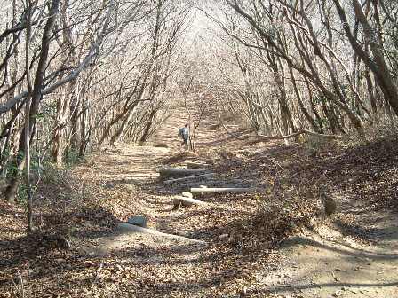 c0077338_21242056.jpg