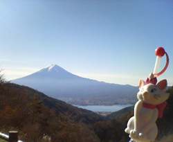 d0107938_21414530.jpg