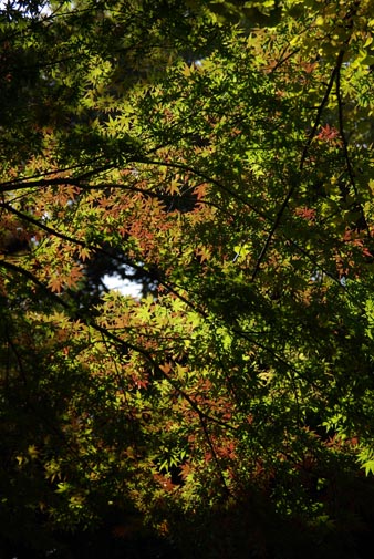 f0149442_0213523.jpg