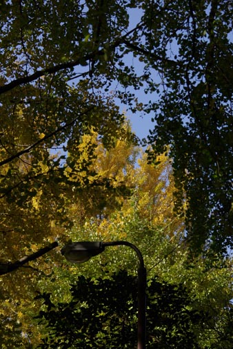 f0149442_0242744.jpg