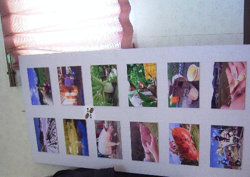 c0072843_1841580.jpg