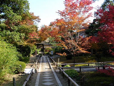 f0148244_16523665.jpg