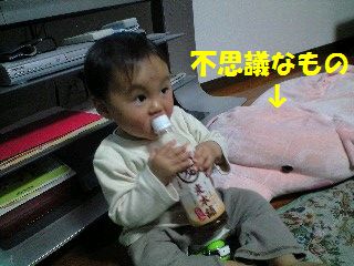 a0090451_2314318.jpg