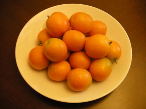 d0072052_04434.jpg