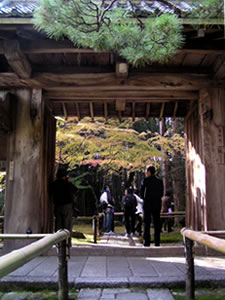 b0054956_2021468.jpg