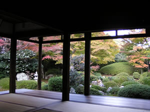 b0054956_20224992.jpg