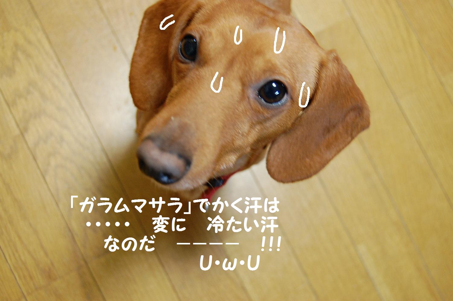 b0112758_17385654.jpg