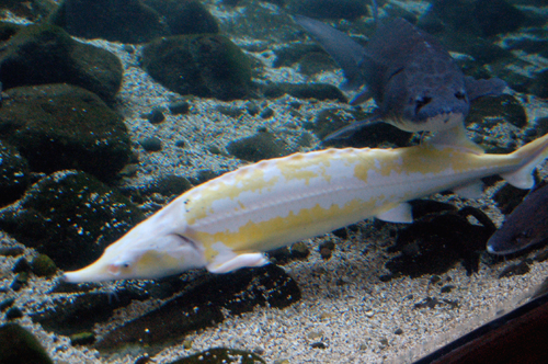 d0083859_18264747.jpg