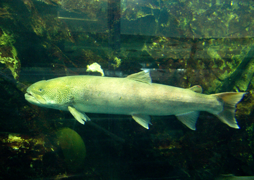 d0083859_1830111.jpg
