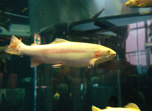 d0083859_1831910.jpg