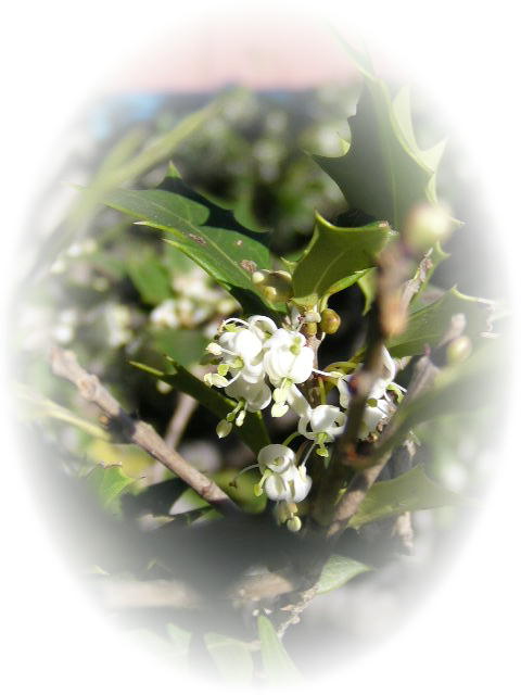 f0074659_2340511.jpg