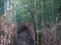 c0108460_16112920.jpg