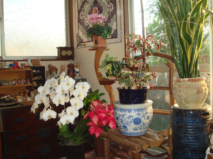 c0108460_16122624.jpg