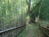 c0108460_1693055.jpg
