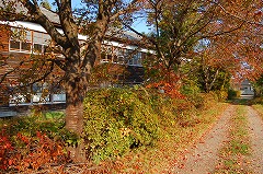 e0001860_20281080.jpg