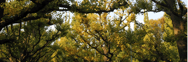 c0062361_19535531.gif