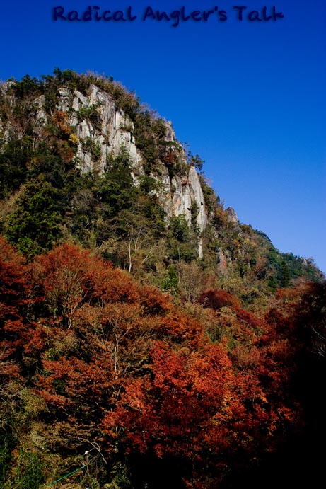 b0032262_21545428.jpg