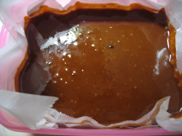 d0128864_4154363.jpg
