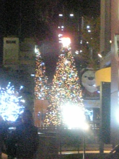 d0084767_0165132.jpg