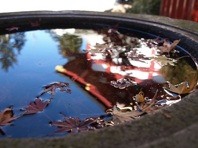 c0102268_19451475.jpg