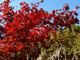 c0102268_1945498.jpg