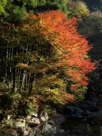 c0102268_20403271.jpg