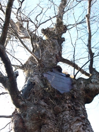 c0102268_218513.jpg