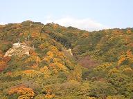e0084071_0595746.jpg