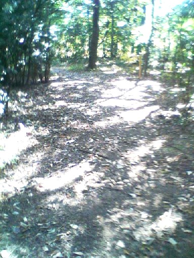 e0031572_14151694.jpg