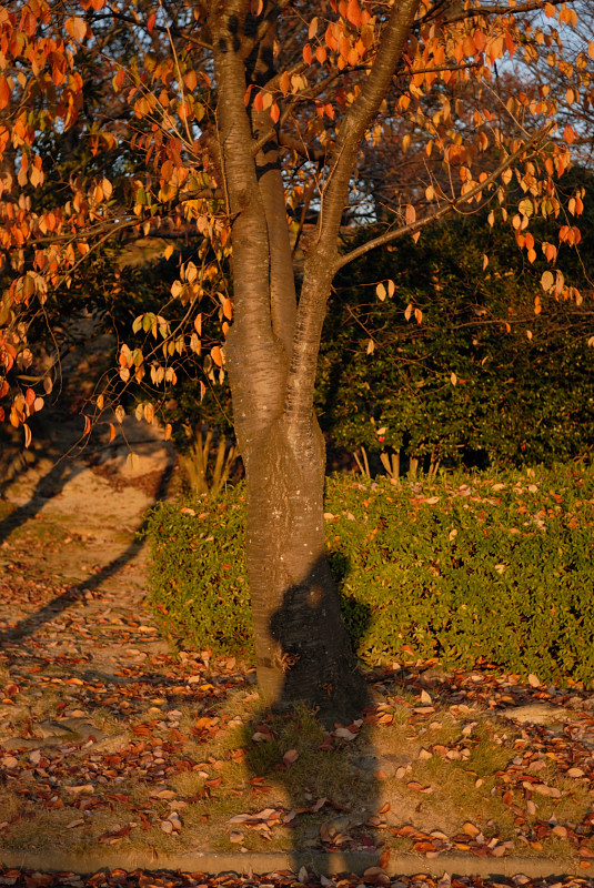 f0150672_23241824.jpg