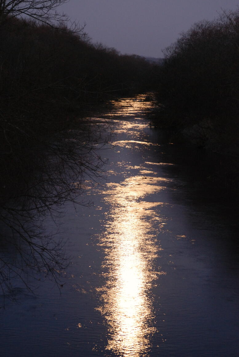 f0130376_19141126.jpg