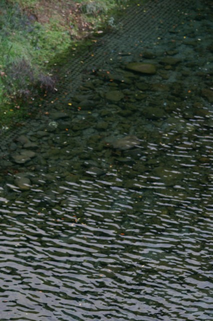 d0079278_21371939.jpg