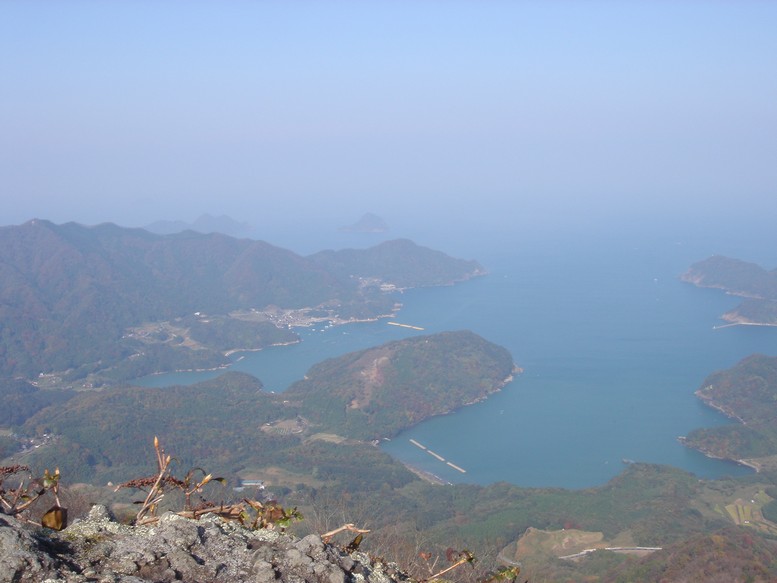 a0004180_16411446.jpg