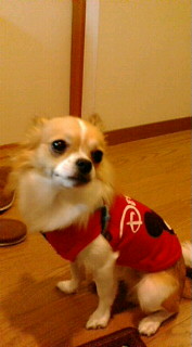 c0066080_2232345.jpg
