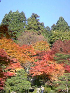 c0029281_17482216.jpg