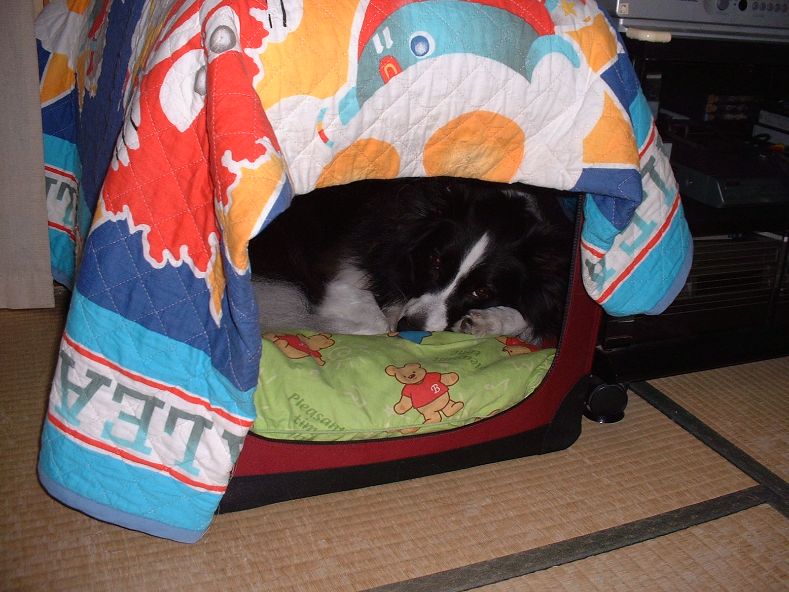 c0120585_20102983.jpg