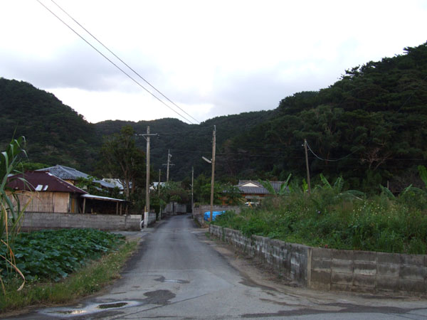 e0028387_22214028.jpg