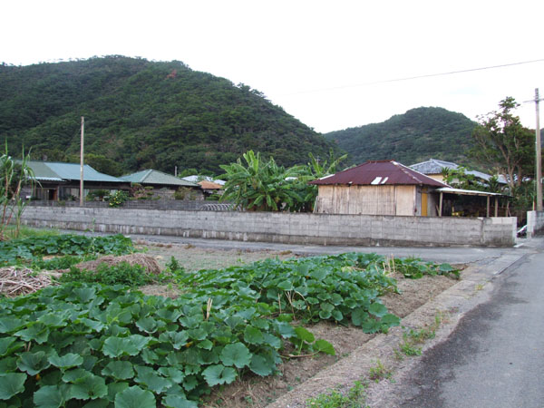 e0028387_22222020.jpg