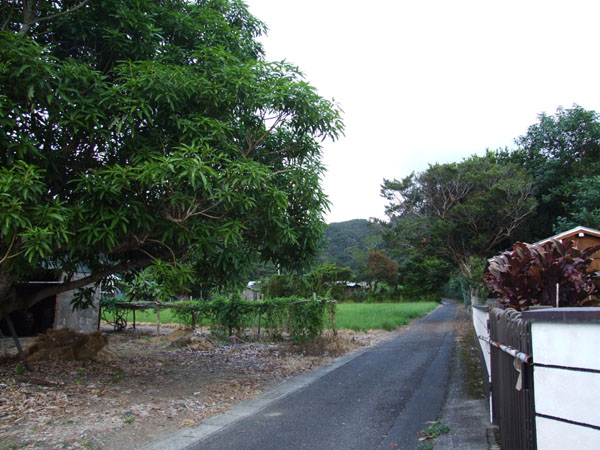 e0028387_2224556.jpg