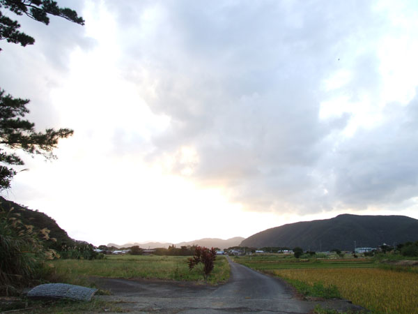 e0028387_22283088.jpg