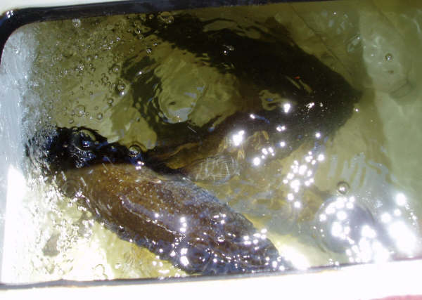 f0024887_633544.jpg