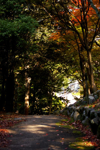 b0080789_17503576.jpg
