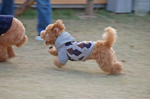 c0130389_2283648.jpg