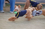 c0130389_2285541.jpg